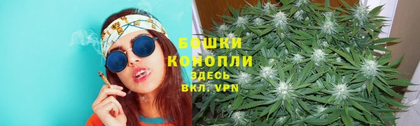 стафф Новодвинск