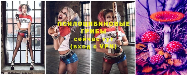 стафф Новодвинск