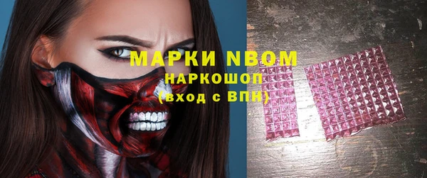 стафф Новодвинск