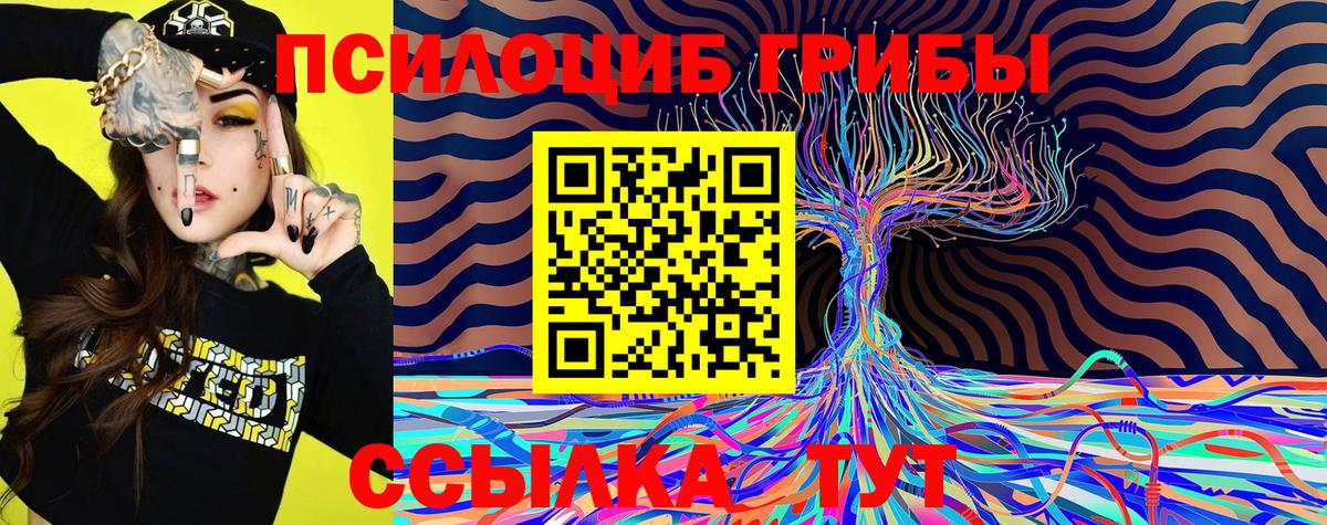 Псилоцибиновые грибы GOLDEN TEACHER  Вход с VPN  Новодвинск 