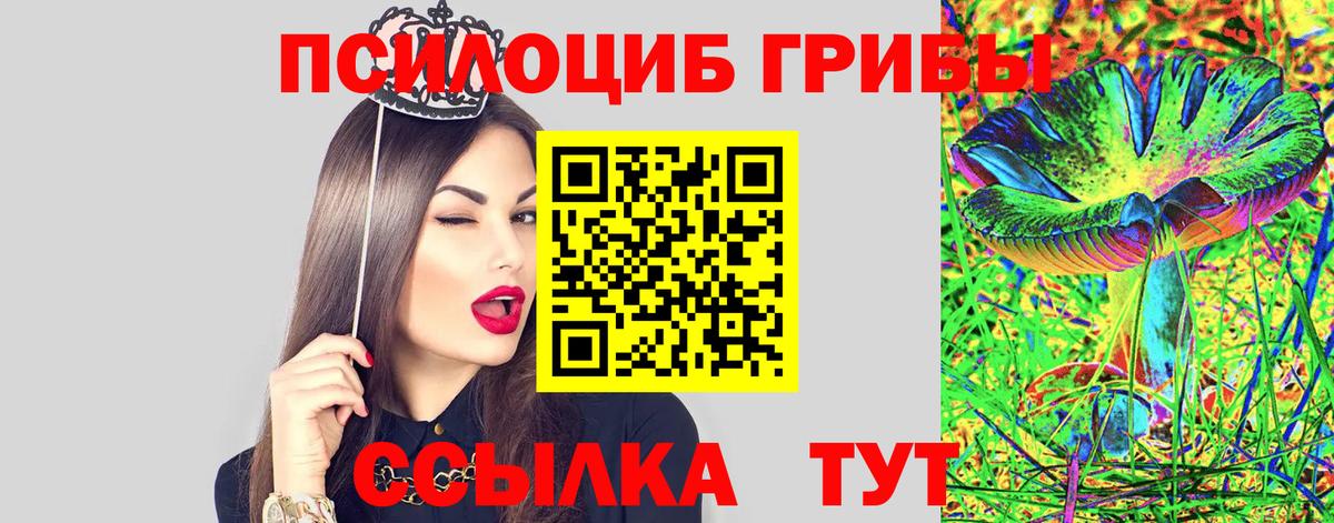 Галлюциногенные грибы Psilocybine cubensis Новодвинск